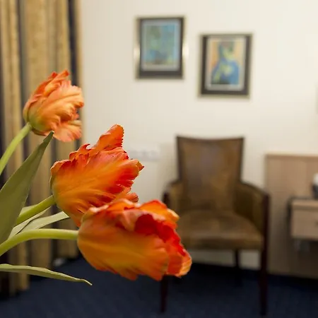 Appartementhaus Stoeckl Апартаменти *